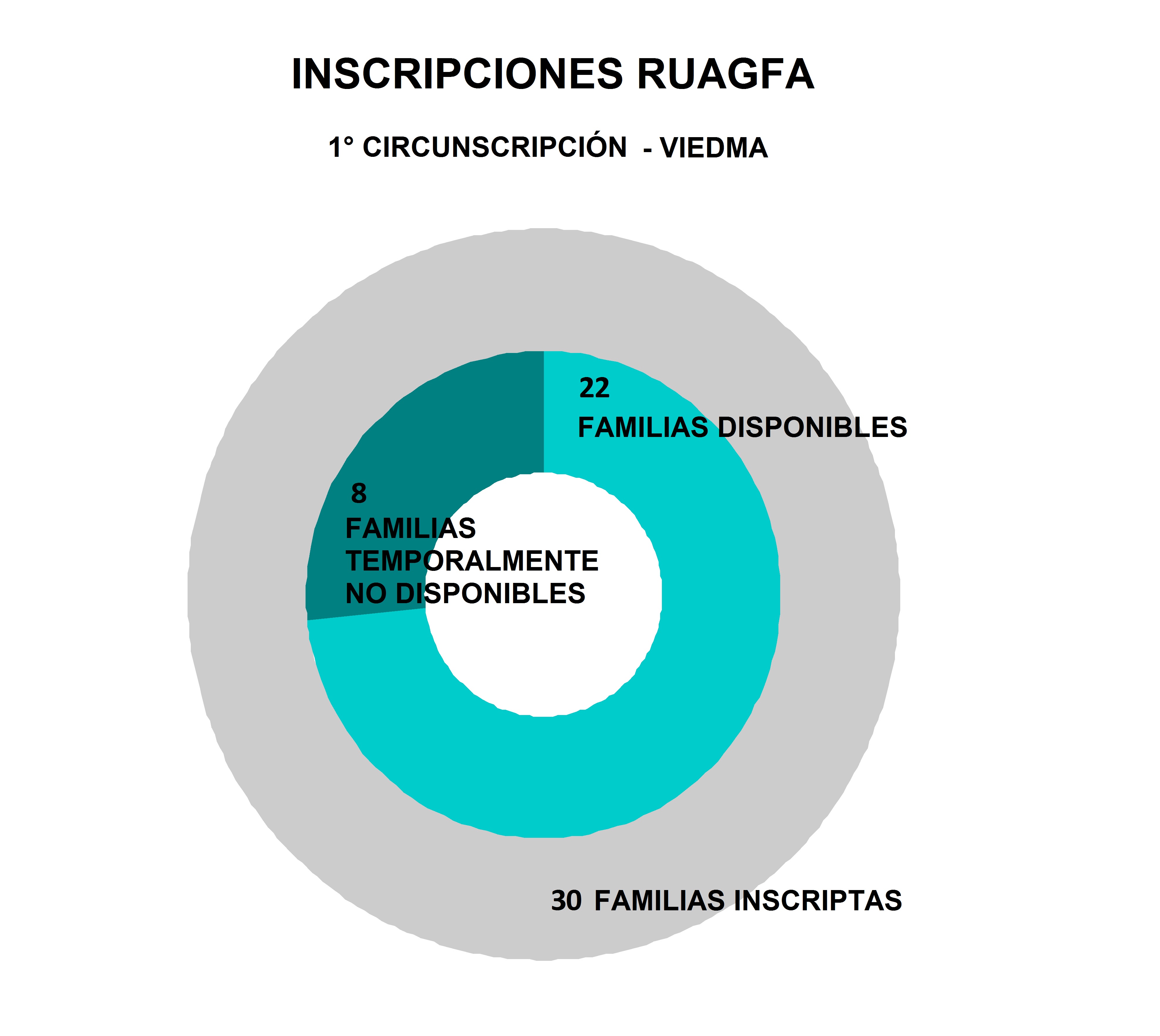 10_INSCRIPCIONES_VIEDMA